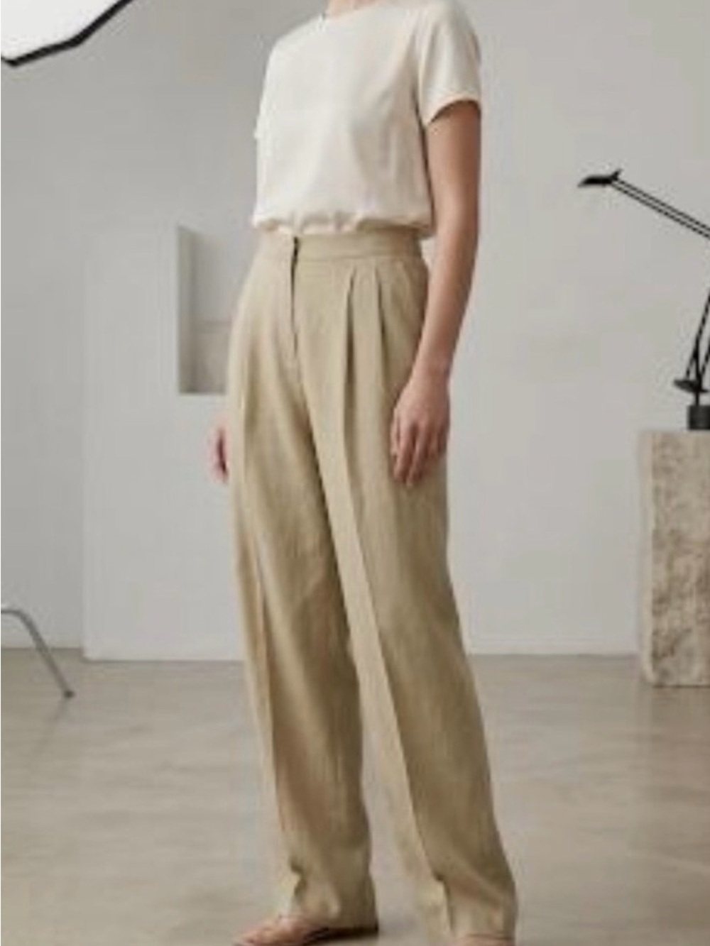 Joie Neutral Pleated Wide-Leg Trousers in Khaki